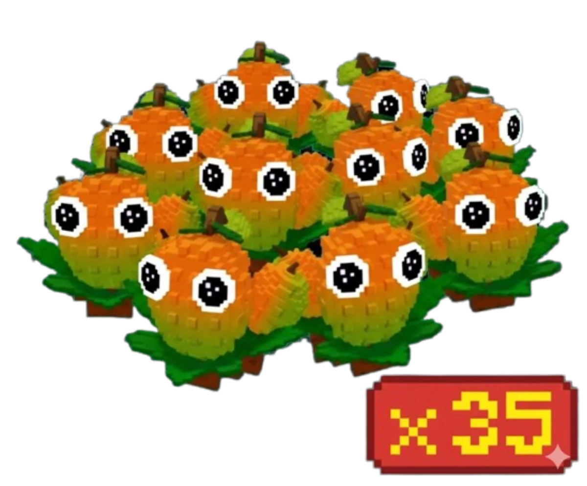 35x Mango Bundle