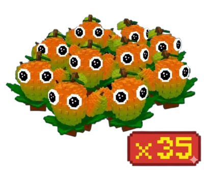 35x Mango Bundle