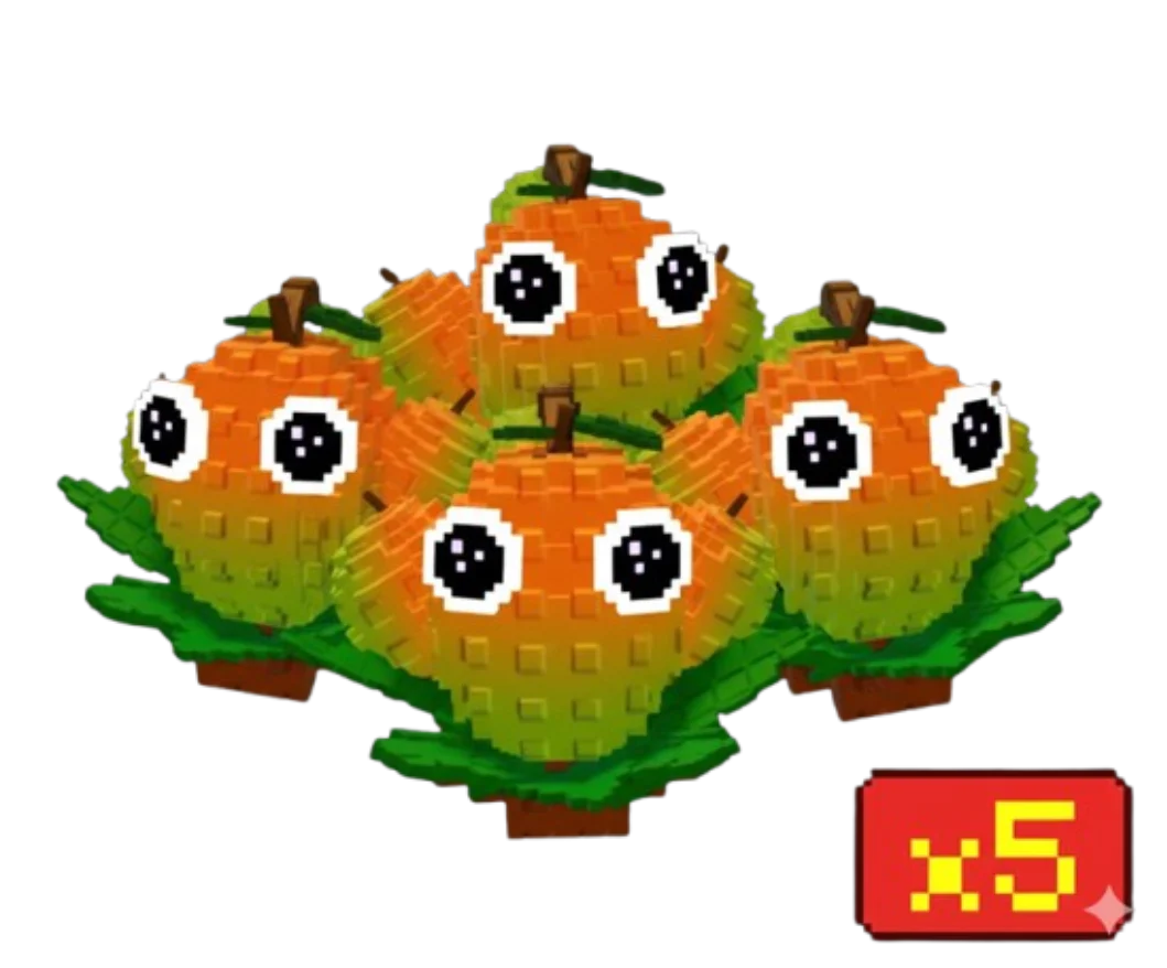 5X Mango Bundle